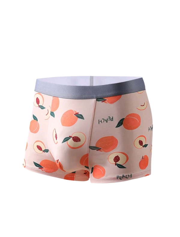 3 Fruits Boxer Briefs