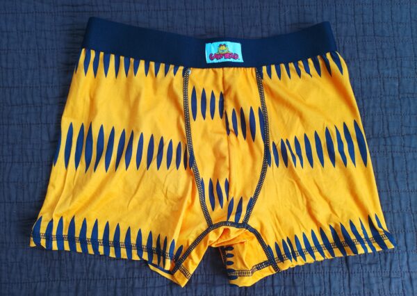 Garfield Men's Boxer Briefs