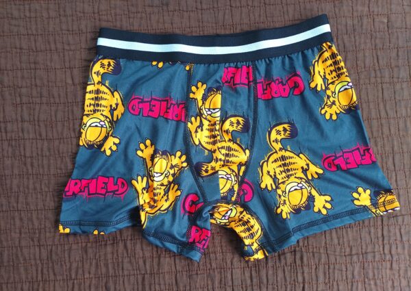 Garfield Men's Boxer Briefs