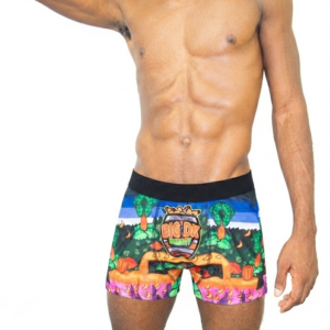 Big DK Energy Boxer Briefs Medium - Image 1