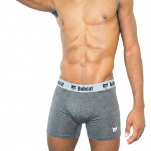 BOBCAT Mesh Microfiber Boxer Briefs Medium - Image 1