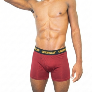 Caterpillar Mesh Microfiber Boxer Briefs Large - Image 1