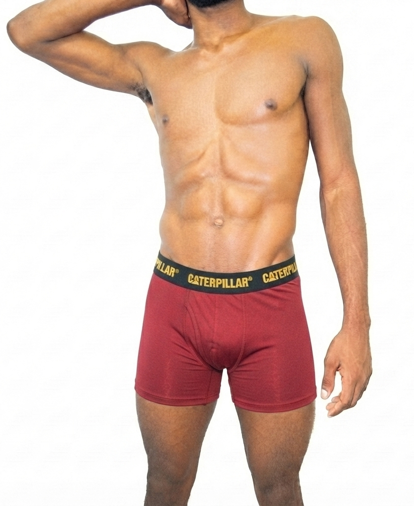 Caterpillar Mesh Microfiber Boxer Briefs Large